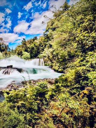 夏威夷考艾島卡拉勞谷長滿苔蘚的納帕利懸崖 Foresteasytravelpost #KalalauTrail #NaPaliCliffFore
