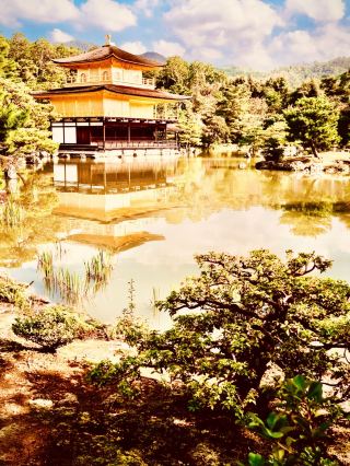 竹原・大通寺：静寂に包まれた庭園と木造建築を巡るスノートラベル