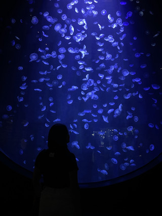 Singapore Oceanarium is on my bucket list! 🪼🌊