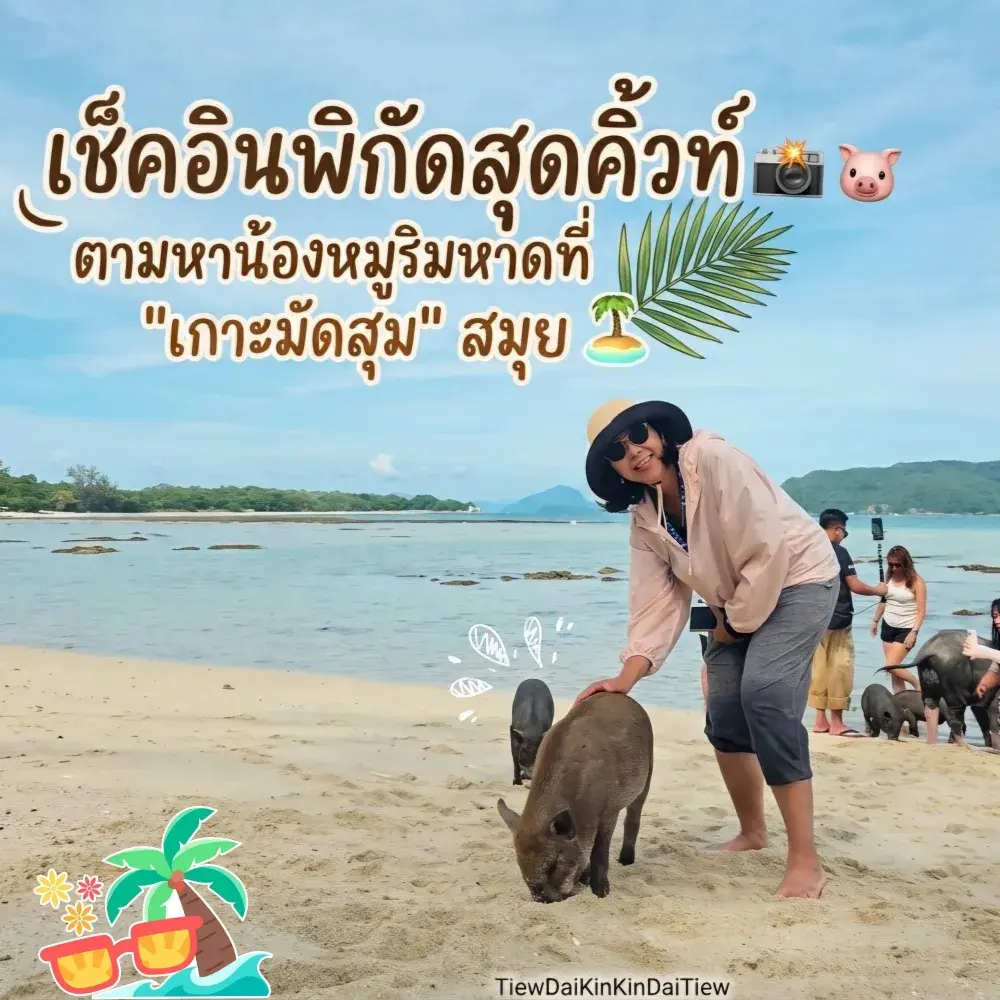 🏝️ 꼬사무이 최고의 관광 명소: "꼬마춤(돼지섬)" - 수정처럼 맑은 물과 아름다운 해변🌊