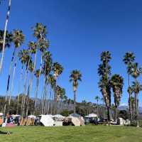 From Pismo Beach to Santa Barbara!🌴 