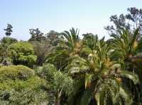 A Day of Fun at San Diego Zoo