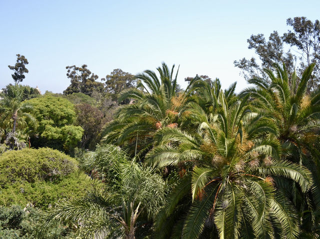 A Day of Fun at San Diego Zoo