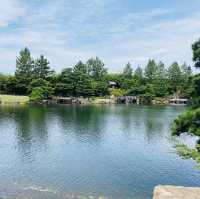 【名古屋市🇯🇵徳川園】マイナスイオンに包まれて☺️のんびり庭園散歩