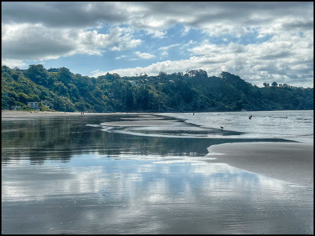 Waiheke Island - New Zealand 🇳🇿 
