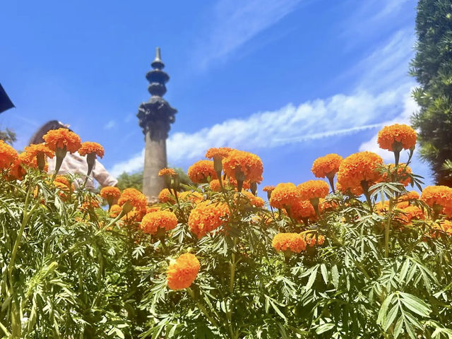 Dutch Square 