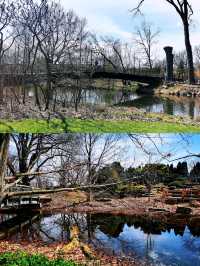 麥迪遜Olbrich Botanical Gardens (奧爾布里希植物園)