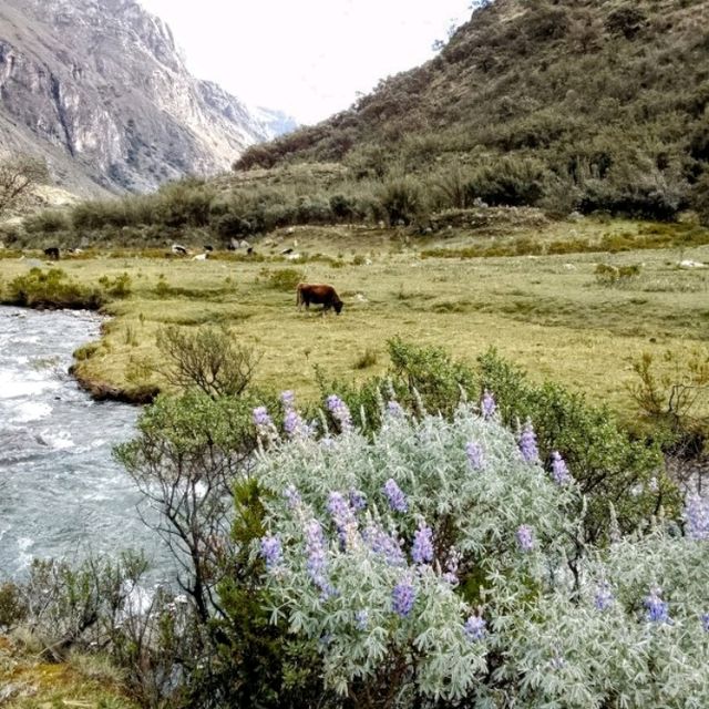 Laguna 69 from Huaraz is must to do 