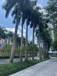 Shenzhen amazing city.