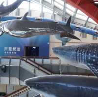🌊屏東海生館:海洋生物的展示與教育中心🐠