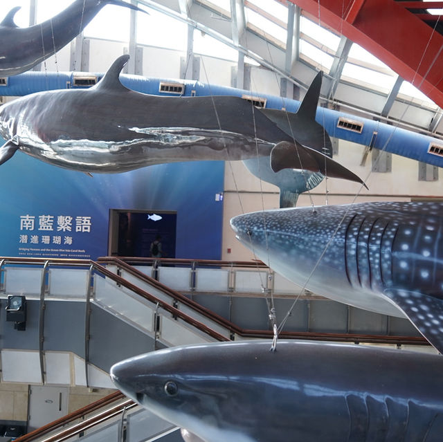 🌊屏東海生館:海洋生物的展示與教育中心🐠 🌊屏東海生館:海洋生物的展示與教育中心🐠
