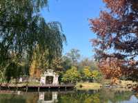 湖邊漫步必去打卡景點