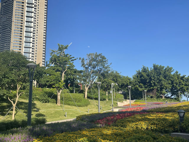 Seaworld Shenzhen - To see the world Seaworld Shenzhen - To see the world