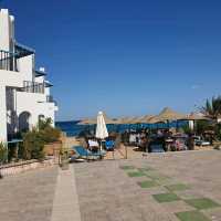 holiday in la casa beach hotel ⛱🌞🍻🍹
