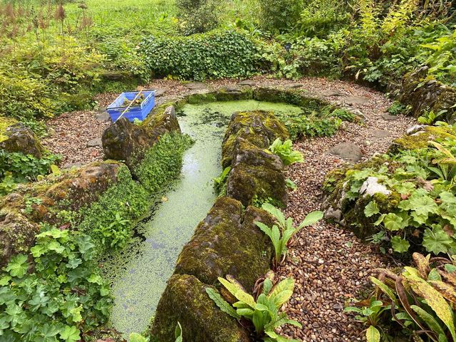 Winterbourne House & Garden 🇬🇧