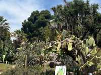 Autumn at Botanical Garden Cagliari 🗺️