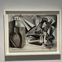 Amazing experience of Picasso Art