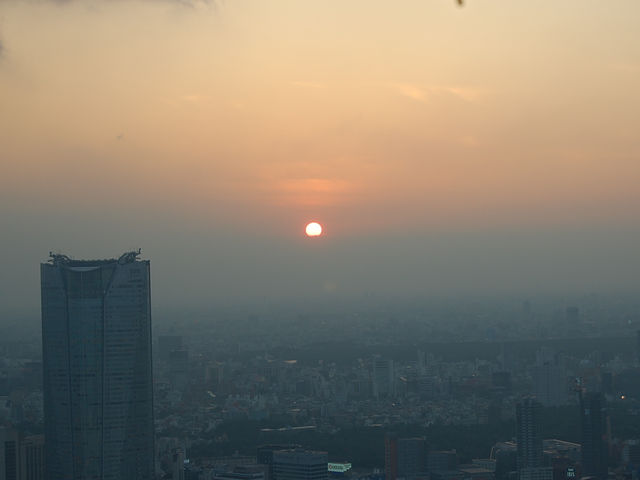 🗼도쿄타워 전망대