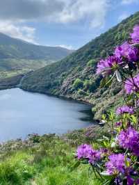 Castles and Trails of South Ireland 🌄🏰🌿