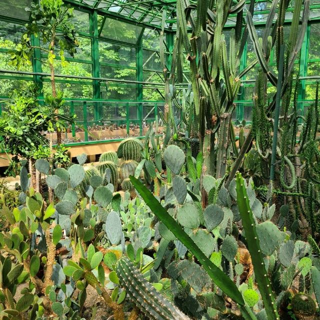 Oasis in the city 