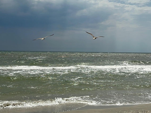 Vadu beach 🇷🇴