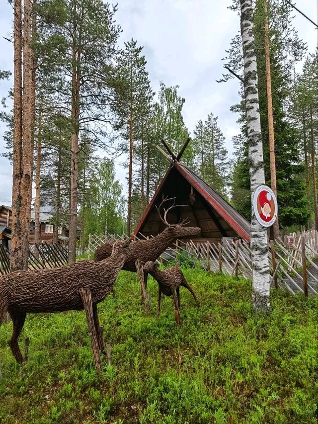 Reindeer feeding 🦌🐾🦌
