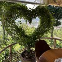 Discovering Serenity at The Cocoon, Koh Samui