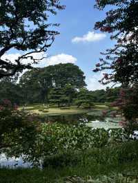 Tokyo Imperial Palace East Gardens: A Timeless Oasis in the Heart of Modernity