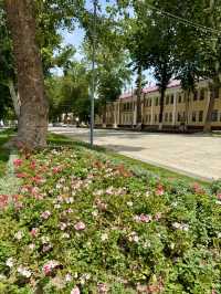 Spring Strolls at Central Park, Samarkand