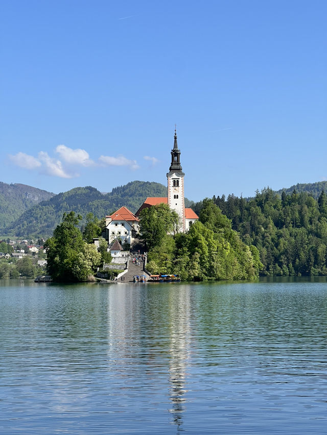 🇸🇮 斯洛維尼亞布萊德（Bled） 🚲