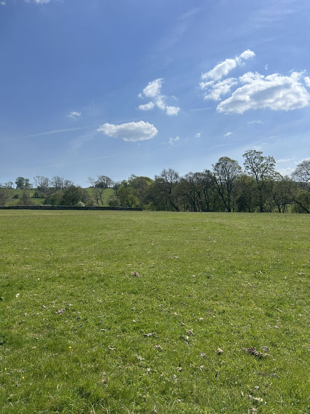 Bowland in the spring 