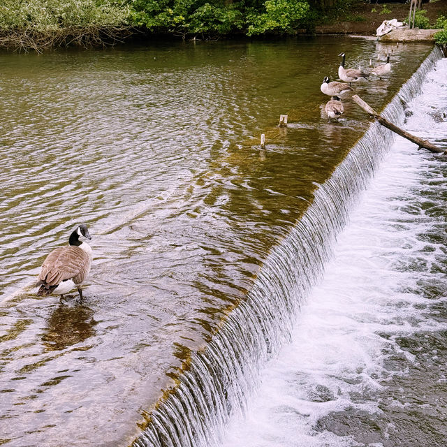 🥧🚗 Manchester to Bakewell: A Sweet Escape to the Heart of the Peaks 🏞️✨