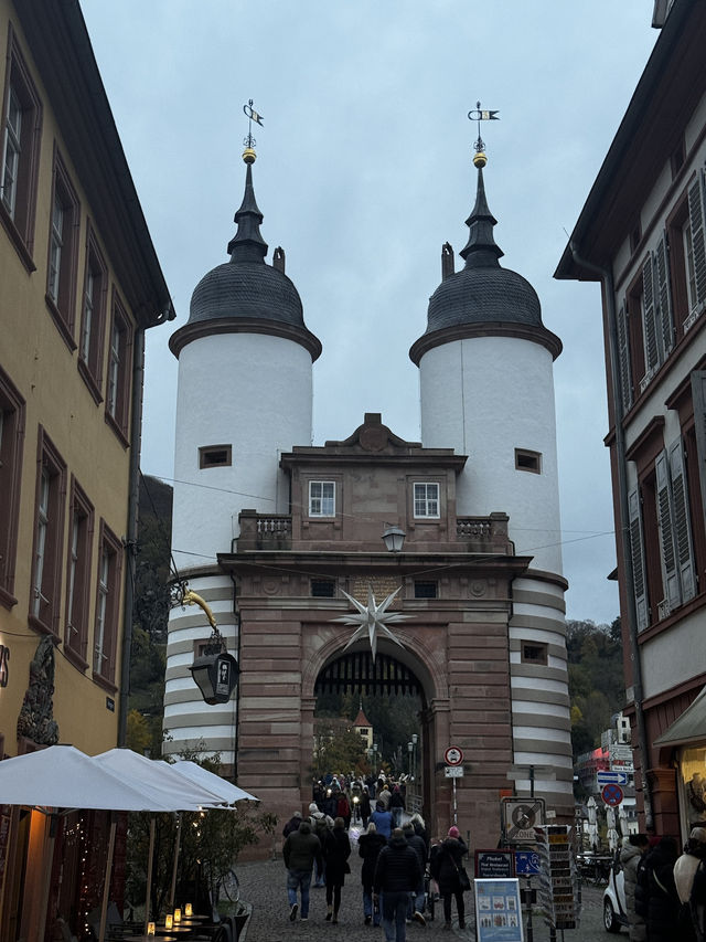 Beauty of Heidelberg City 🌆