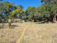 Zimbabwe - a perfect blend of family, culture, and nature.”