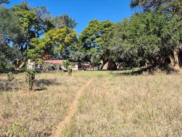 Zimbabwe - a perfect blend of family, culture, and nature.”