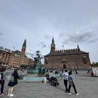 Want to travel to Copenhagen but on a tight budget? 
