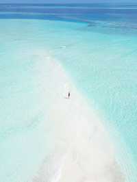 #maldives# pristine nature# diving#sandbank