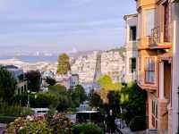 Golden Gates & Hidden Lanes: Exploring San Francisco Like a Local