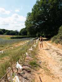 🛡️ A Day at Sutton Hoo – Walking in the Footsteps of Anglo-Saxon Royalty