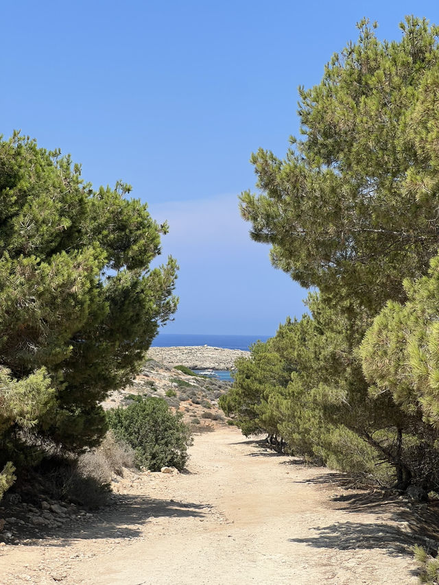 🇲🇹 馬爾他科米諾島（Comino） 🏝️