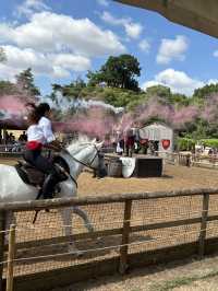 Warwick Castle Joust 