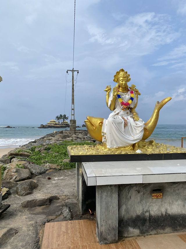 🌴 Hikkaduwa, Sri Lanka – A Vibrant Coastal Escape with Soul