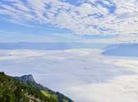 🌄 Switzerland’s Alpine Dream: From Misty Valleys to Rolling Meadows