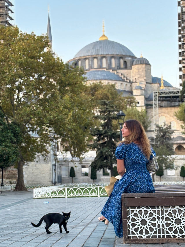 The Blue Mosque🇹🇷