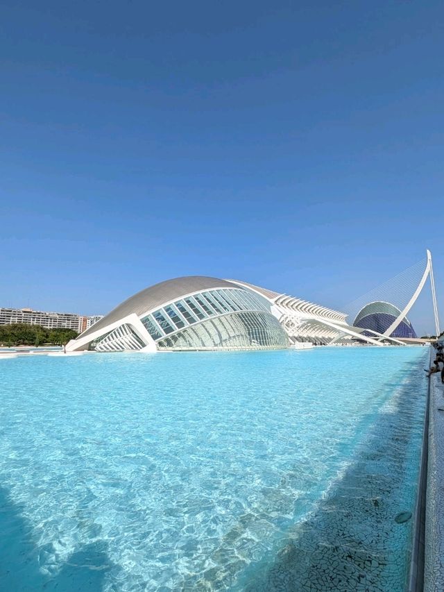 Graffiti Streetscape🎨 Graffiti Streetscape🎨