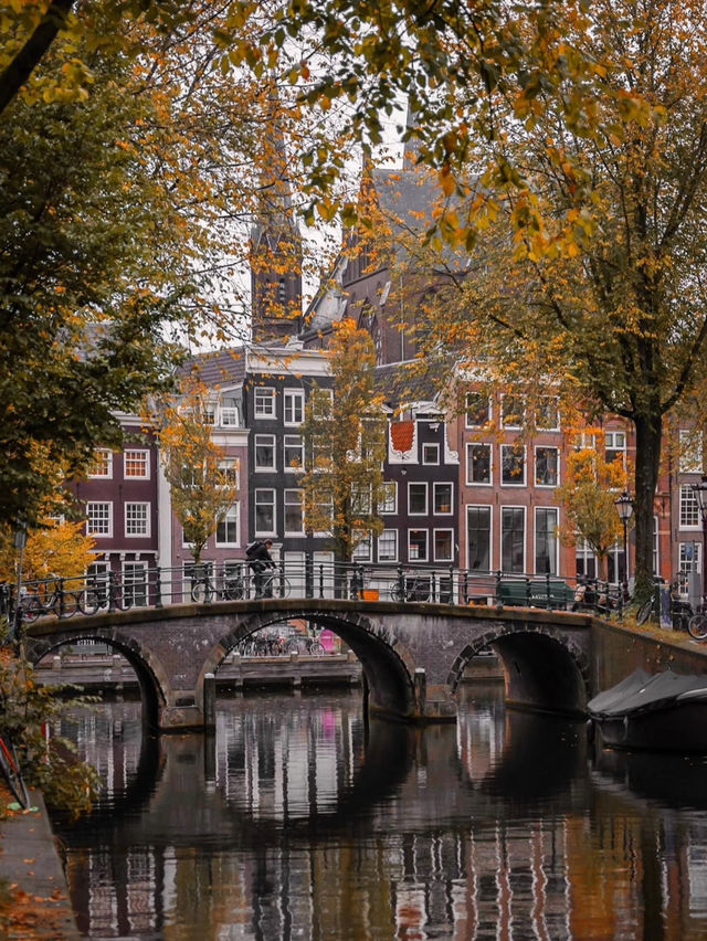 🚲 Cycling the Canals: Amsterdam's Budget-Friendly Charm