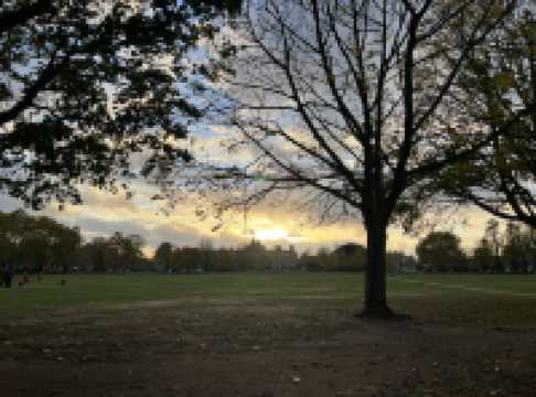 Golden Hour Walk sunset🌅 