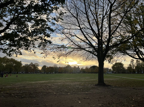 Golden Hour Walk sunset🌅 