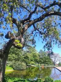 Nature Walk Charm🍃