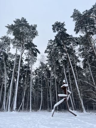 นิทานฤดูหนาวในป่า🌲